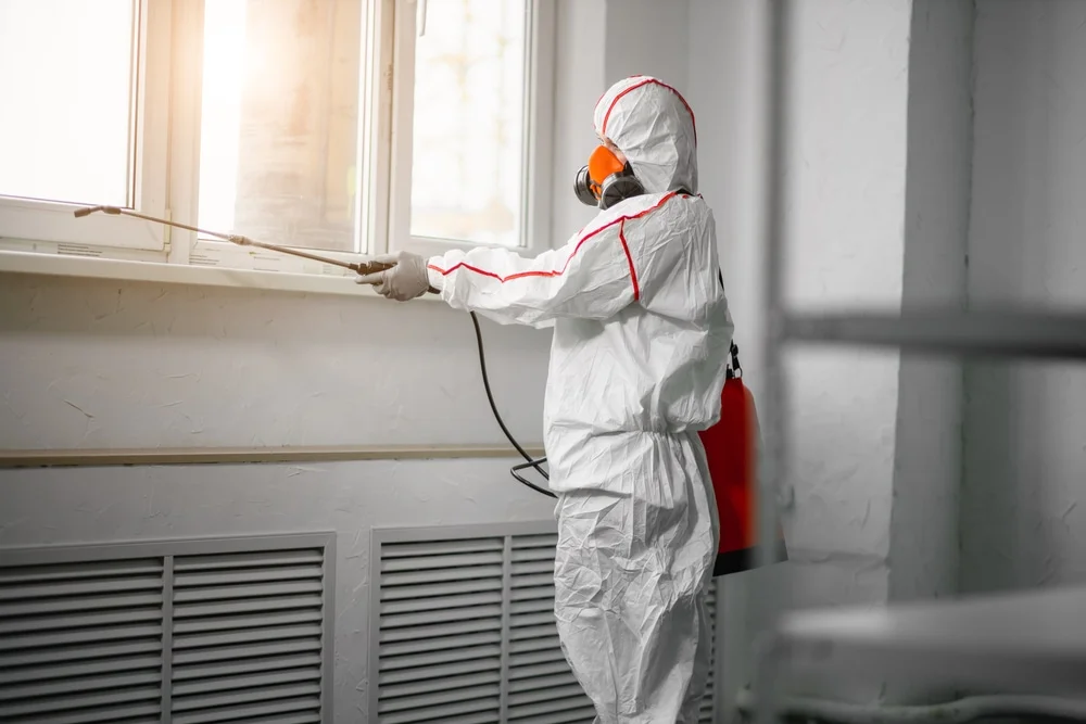 Professional mold remediation services in Georges Mills, NH